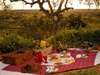 Tarangire Sopa Lodge - Picnic 